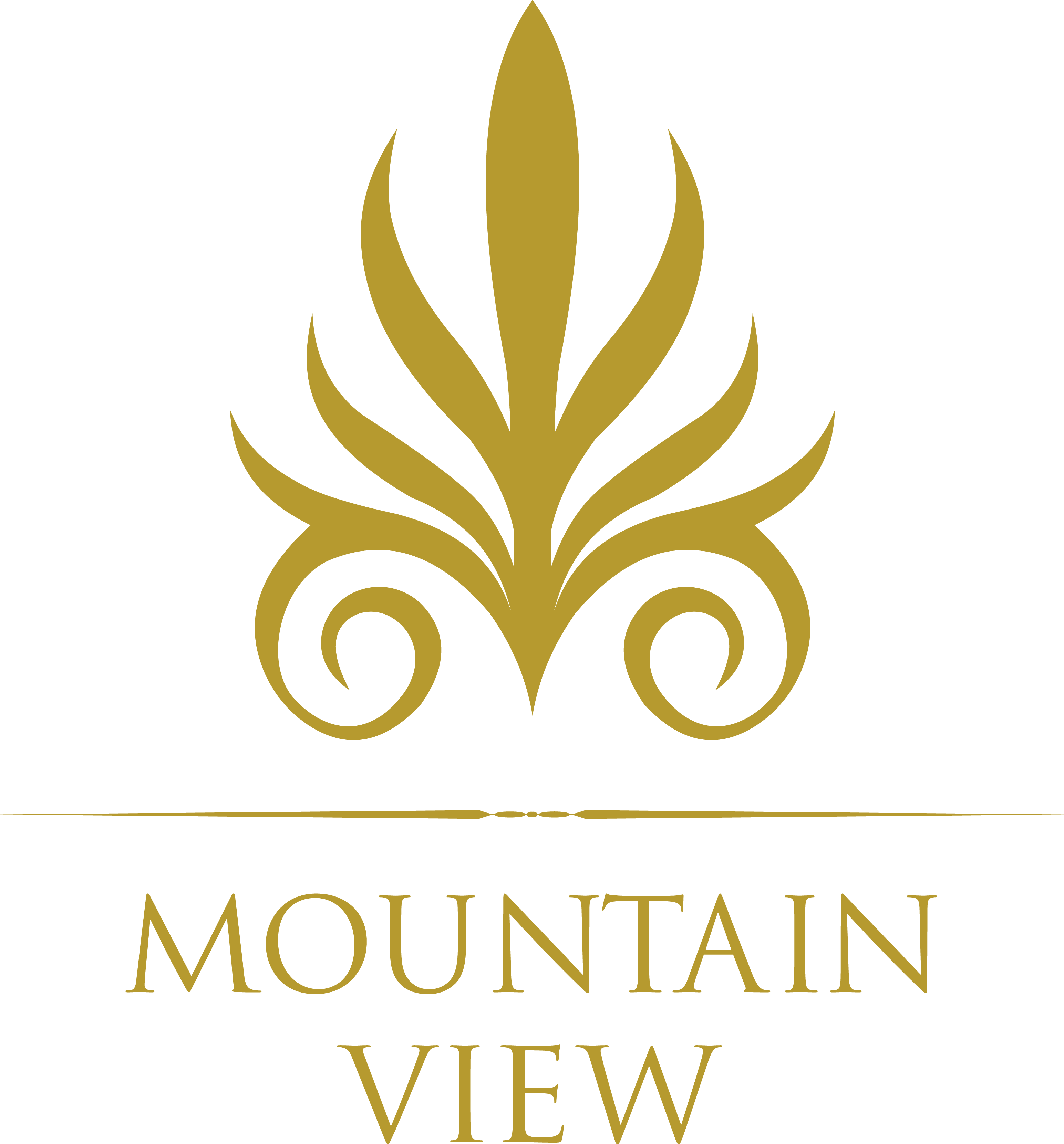 9 Mountain View